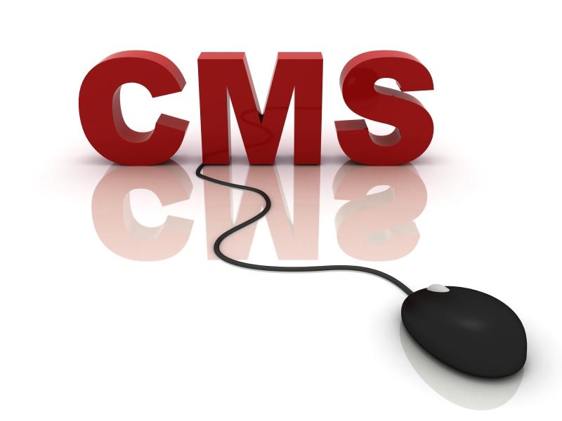 CMS Web Development Services